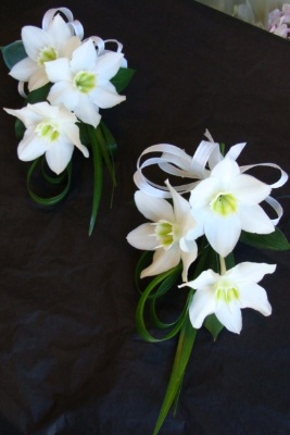 Eucharis corsages